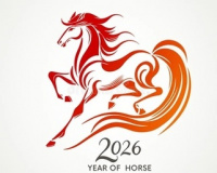 Новый год не загорами